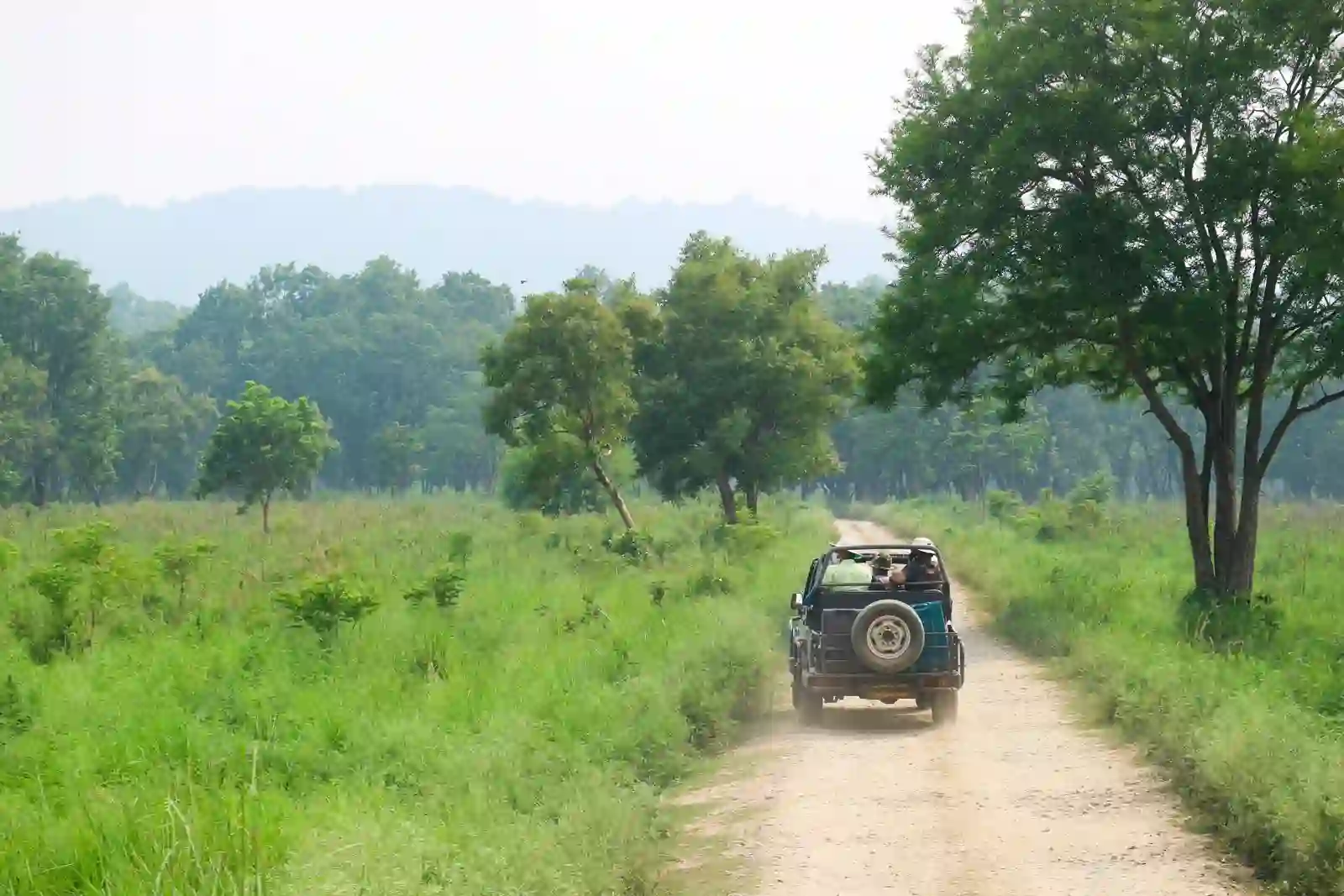 A safari jeep on a forest trail in Jim Corbett National Park