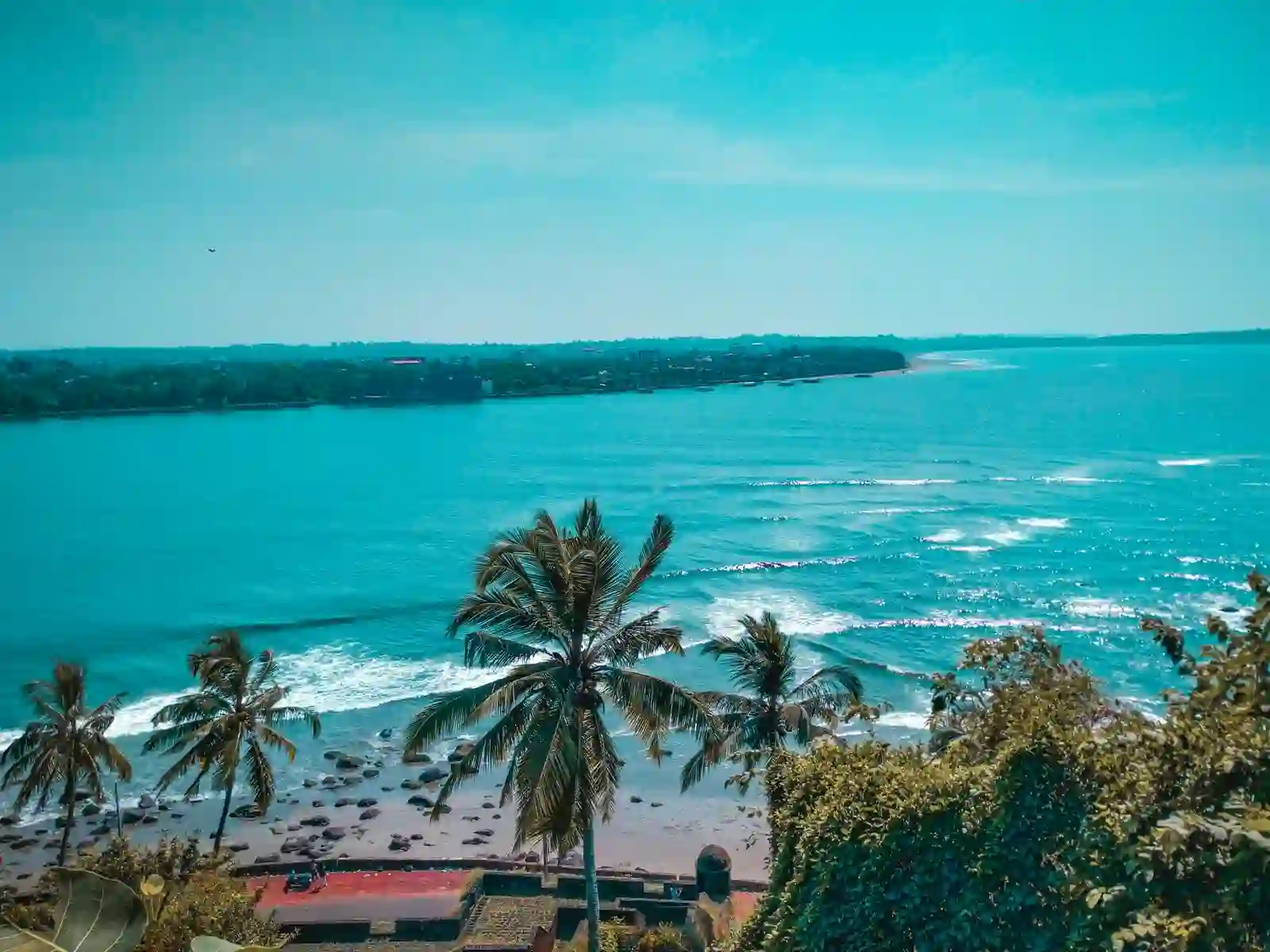 A palm-lined coastline in Goa